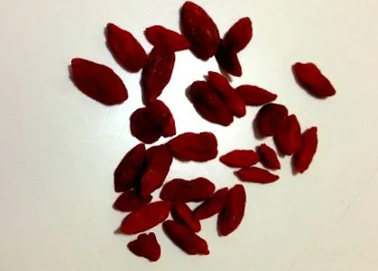 hogy goji