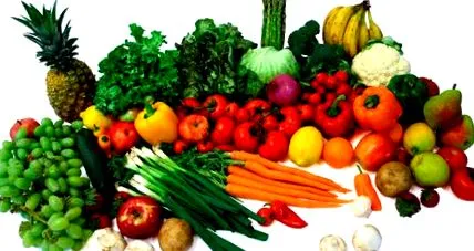 foods foods