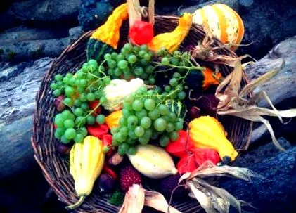 fructe