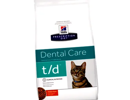 dental