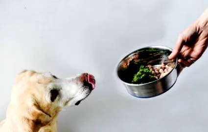 кухня