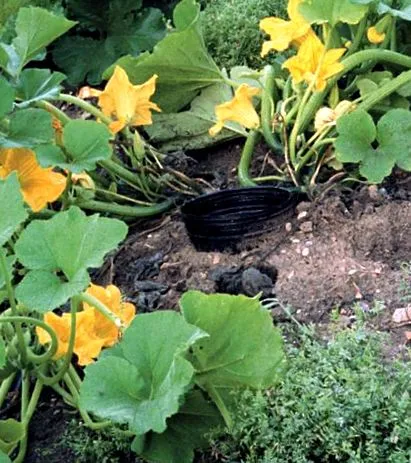 finegardening превъзходен