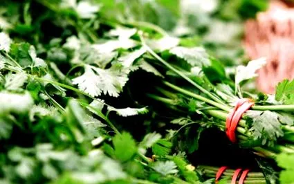 papilele gustative