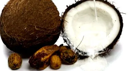 uleiul