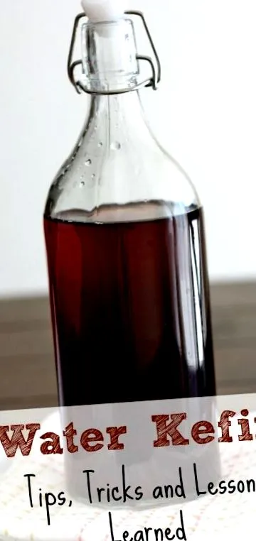 kefir