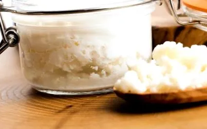kefir