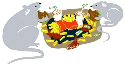 ензим