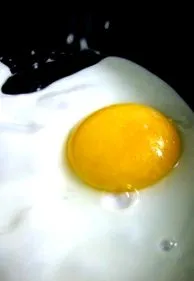 tojás
