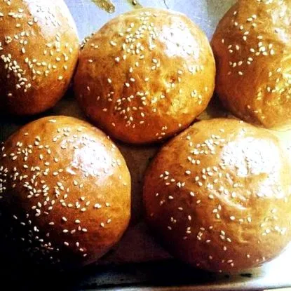 hamburger