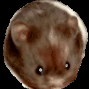 obezi