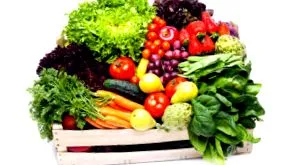 nutriție