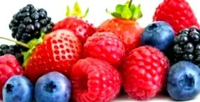 stryde nutrition