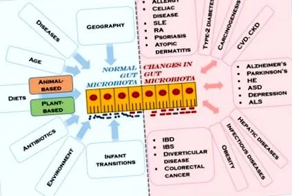 nutrițională