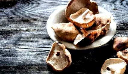 nutrition вкус