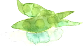 emészthető
