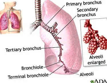 medical