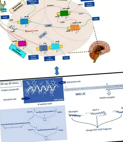 peptidomimetice