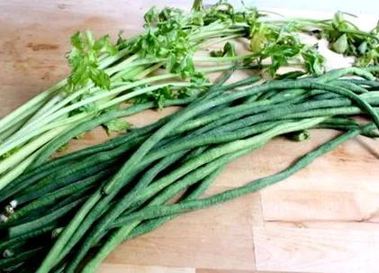 yardlong