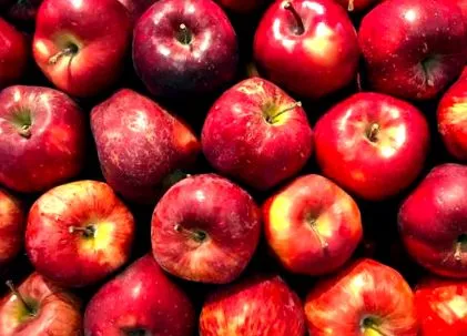 fructe