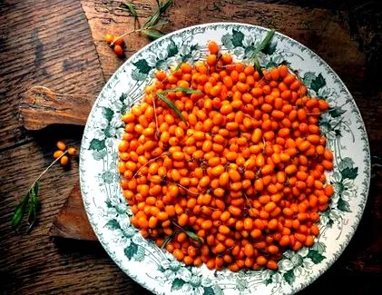 cătină