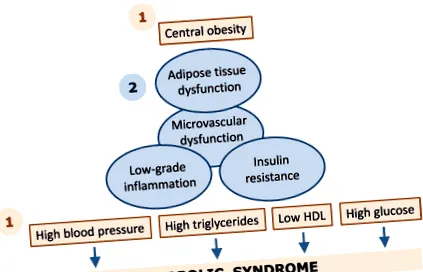 metabolice