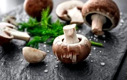 сотирани