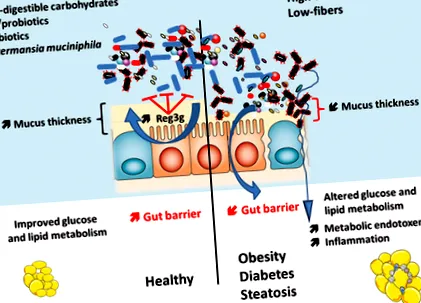 microbii