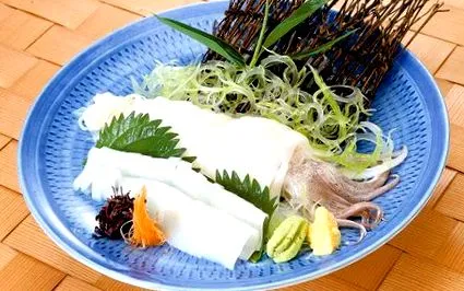 squid