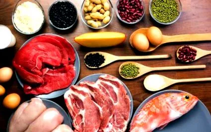 proteinelor