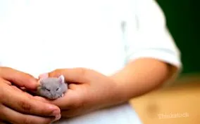 начина