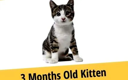които