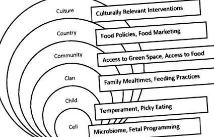 transdisciplinar