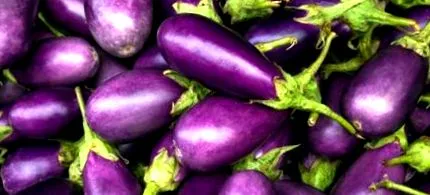 nutriția
