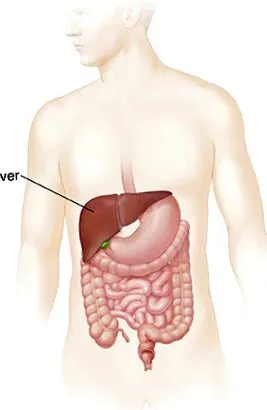 abcesului hepatic