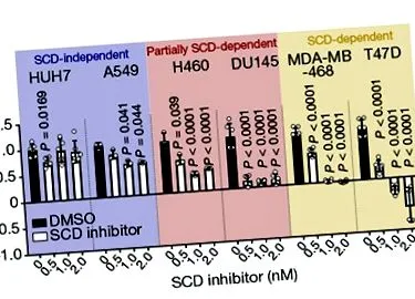 alkalmaznak