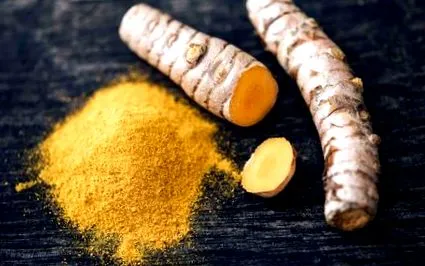 curcuma
