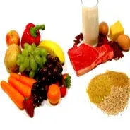 macronutrients