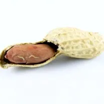 greșit