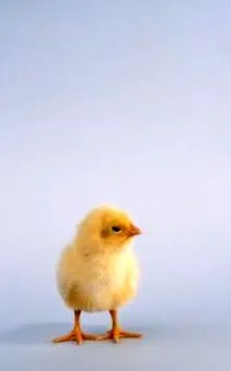 нахраним