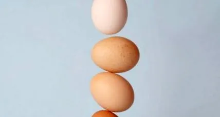 fertilitate