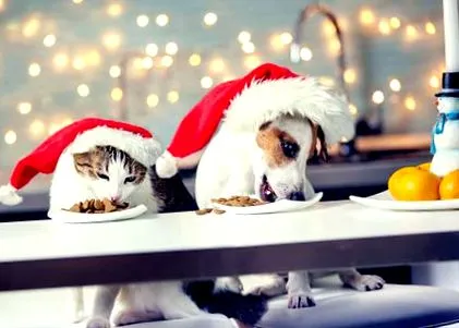 festive