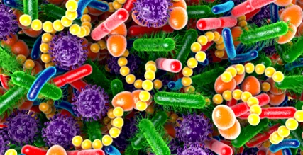 microbiologia
