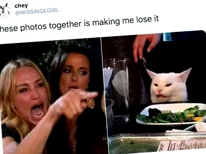 котешки