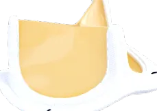 аортна