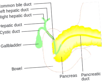 Ennek lehet