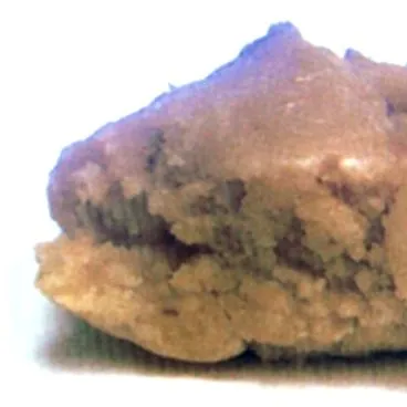 transgenic