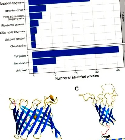 biomolecule