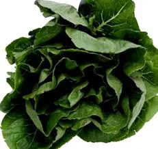 dieteticianul
