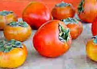 persimmons