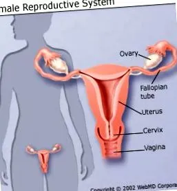 cancerului